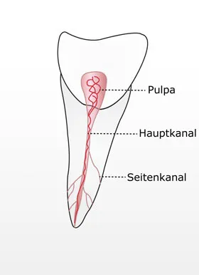 Endodontie-Behandlung in der Zahnarztpraxis Laatzen